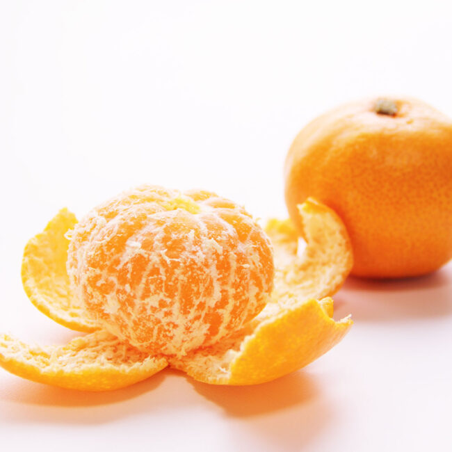 フルーツクラブ【standard】