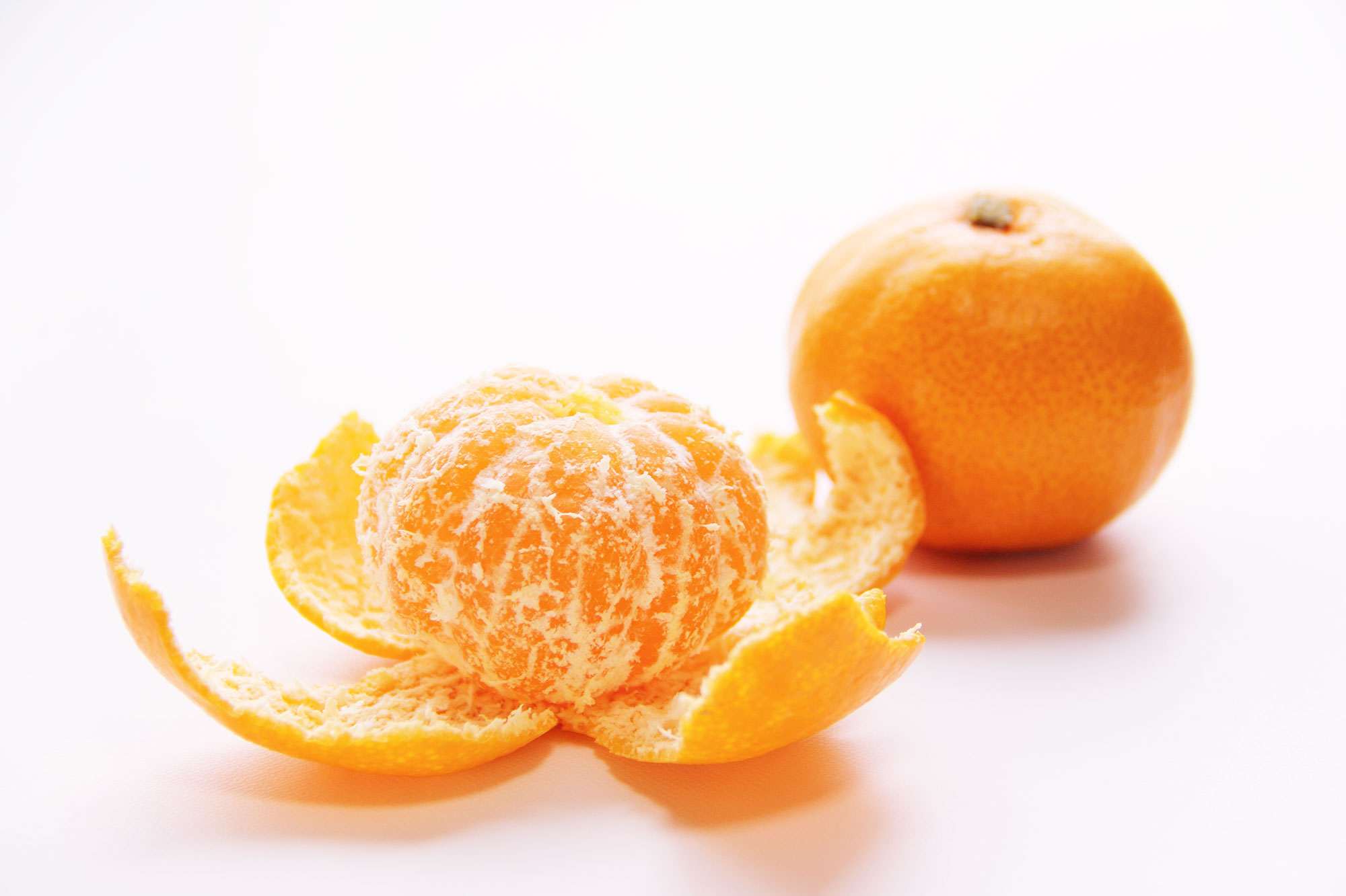 フルーツクラブ【standard】