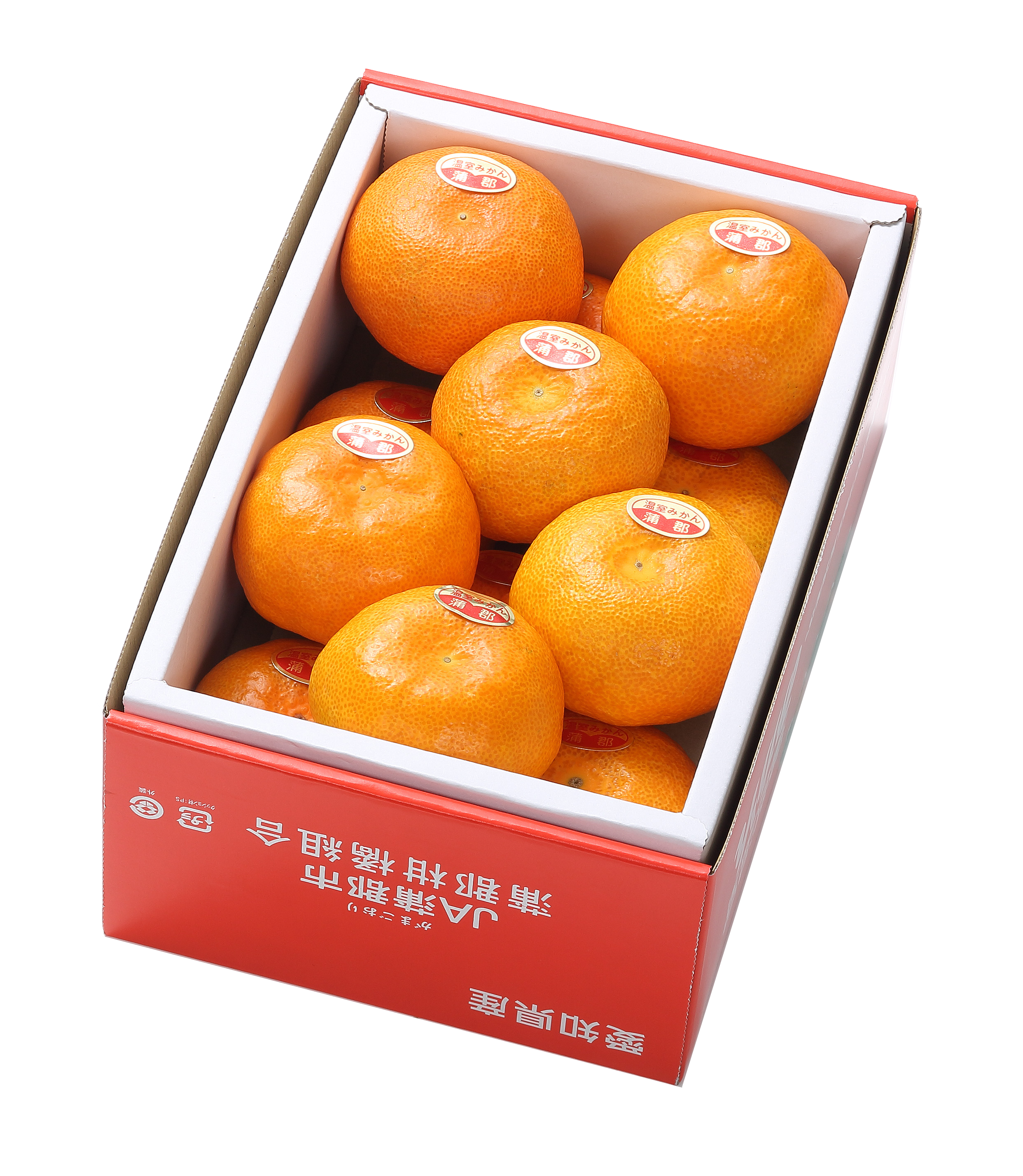 2025夏の贈り物　温室みかん