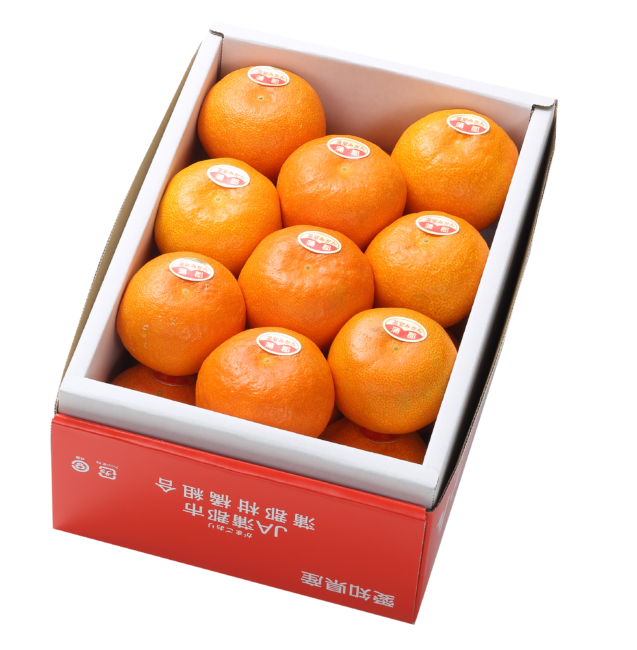 2025夏の贈り物　温室みかん
