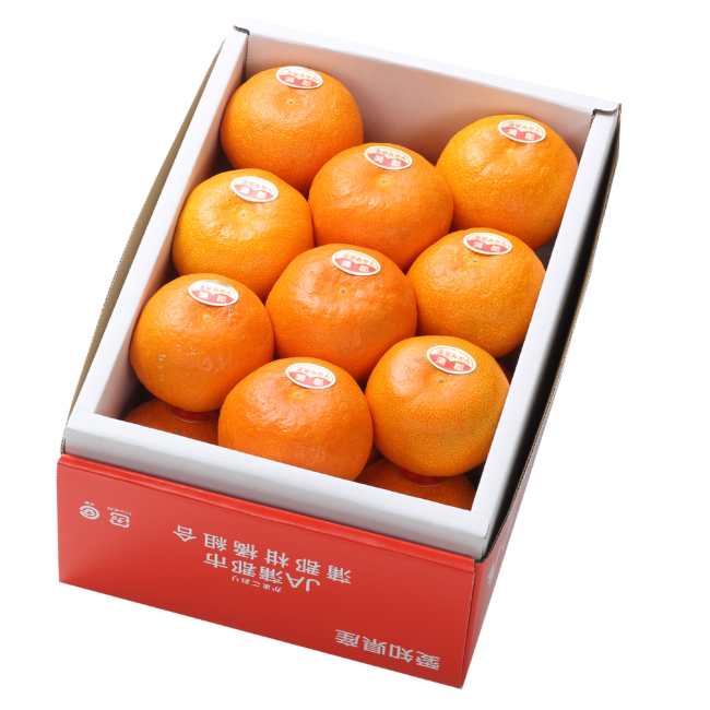 2025夏の贈り物　温室みかん