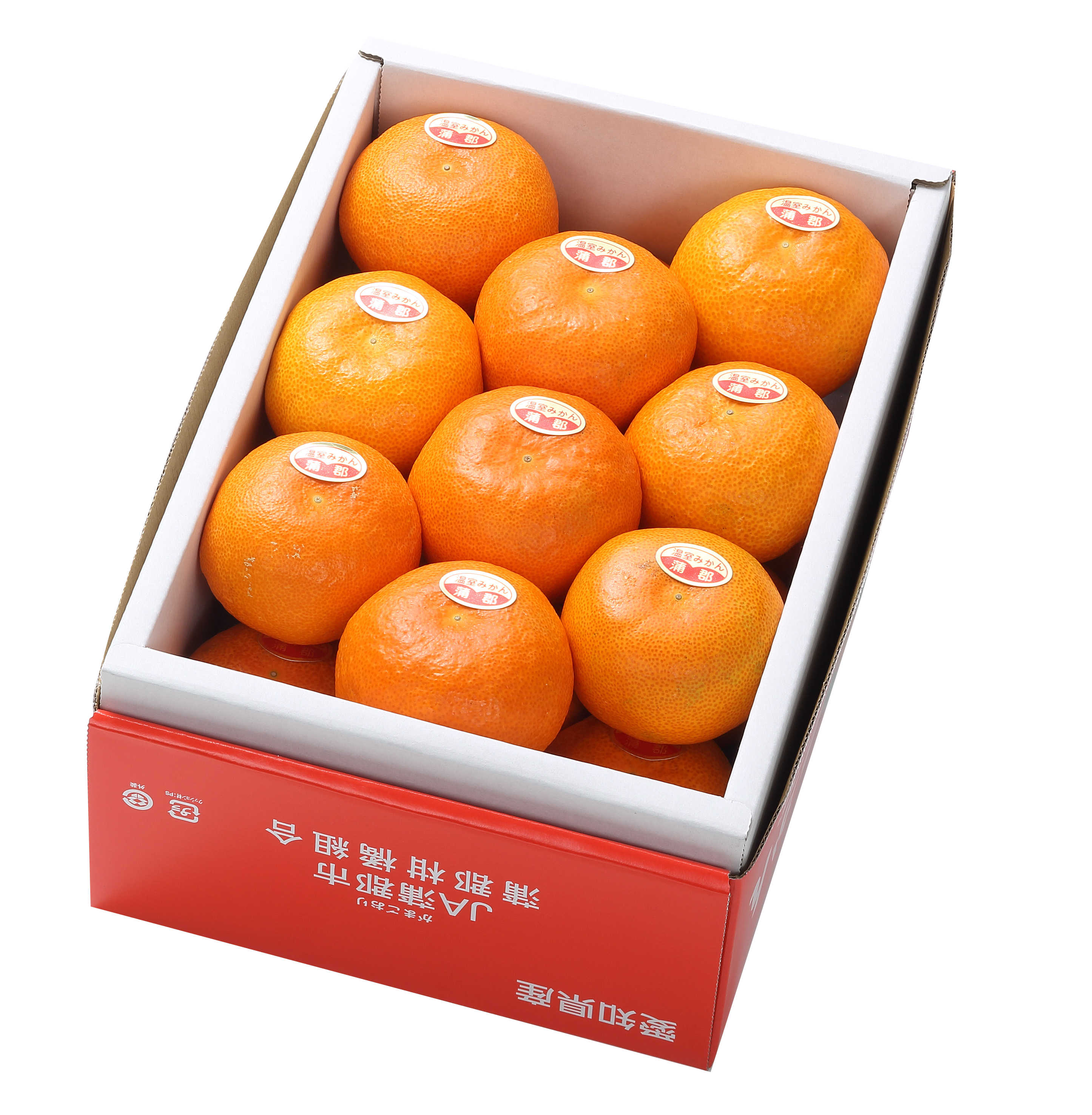 2025夏の贈り物　温室みかん