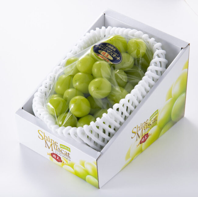 2025夏の贈り物　特選ぶどう