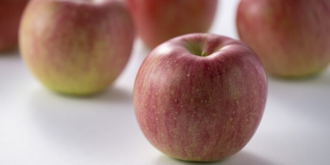 フルーツクラブ【Premium】