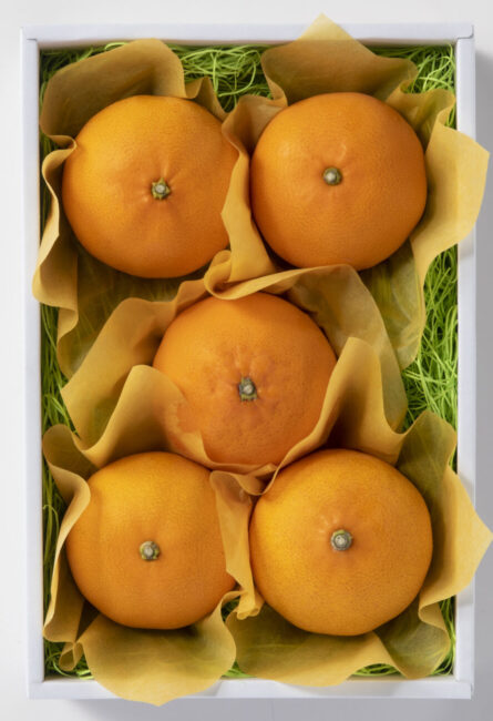 愛媛紅まどんな