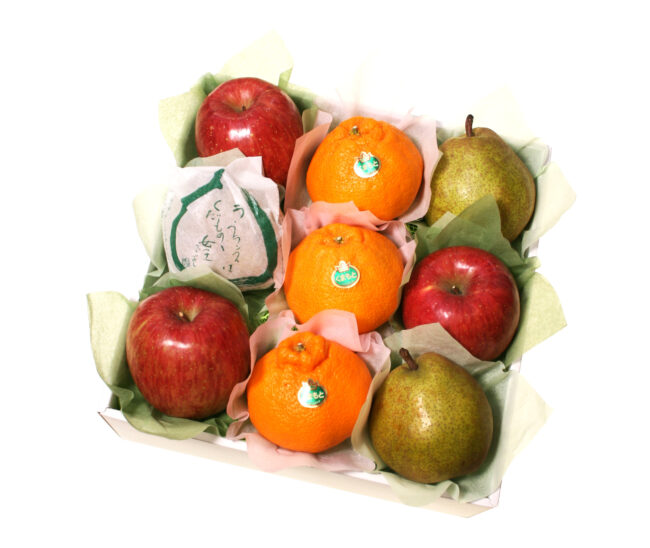  フルーツセット