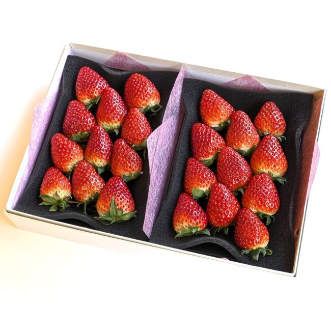 いちご　古都華