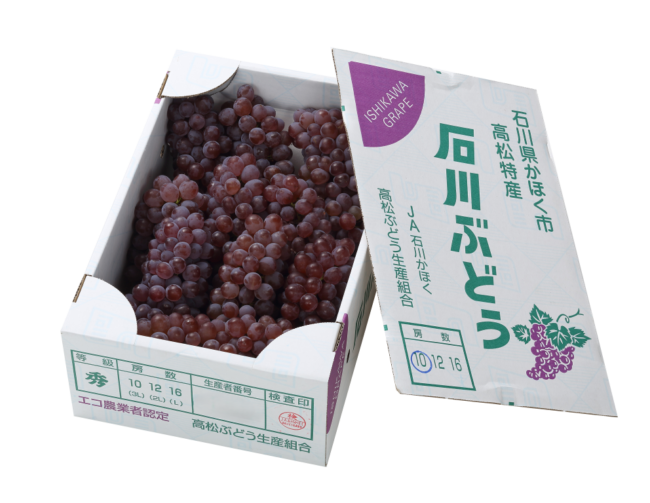 2025夏の贈り物　デラウェア