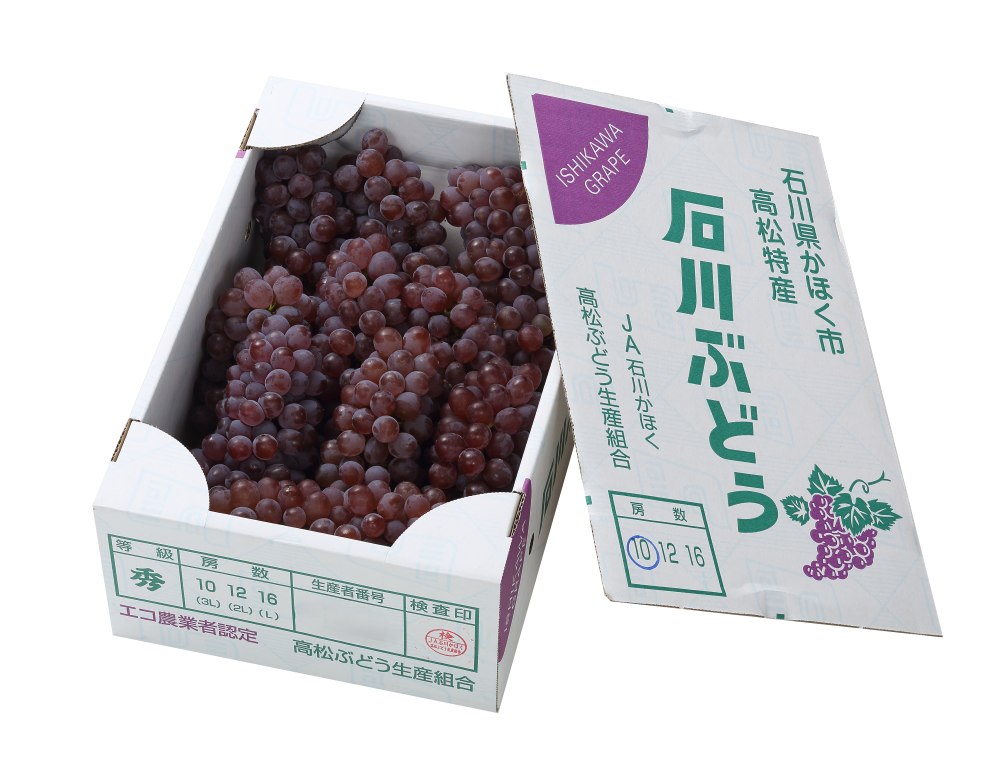 2025夏の贈り物　デラウェア