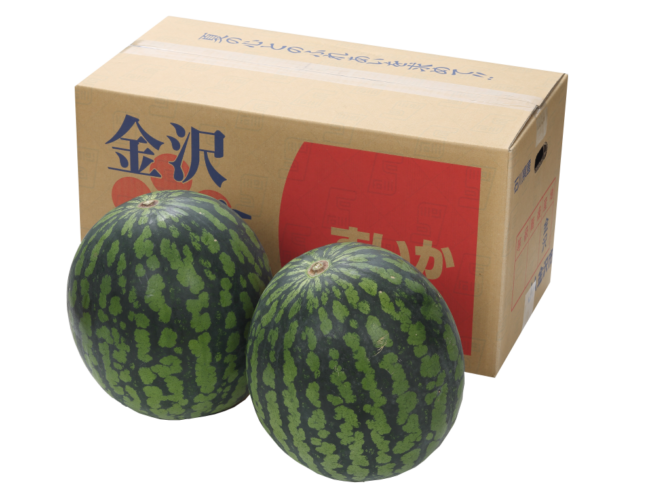 2025夏の贈り物　すいか