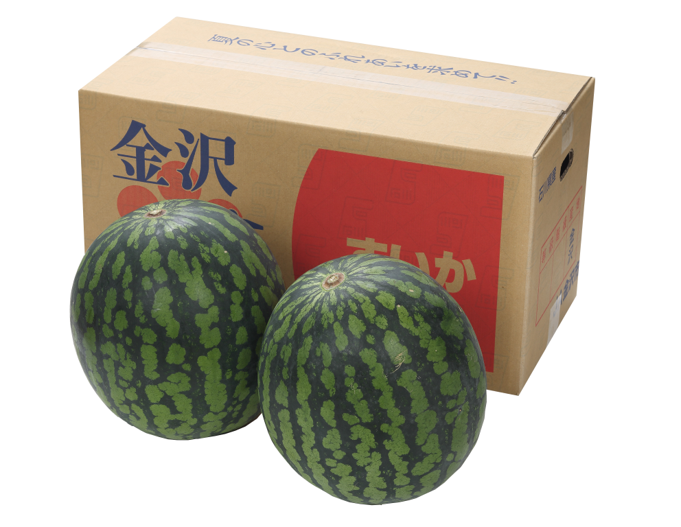 2025夏の贈り物　すいか