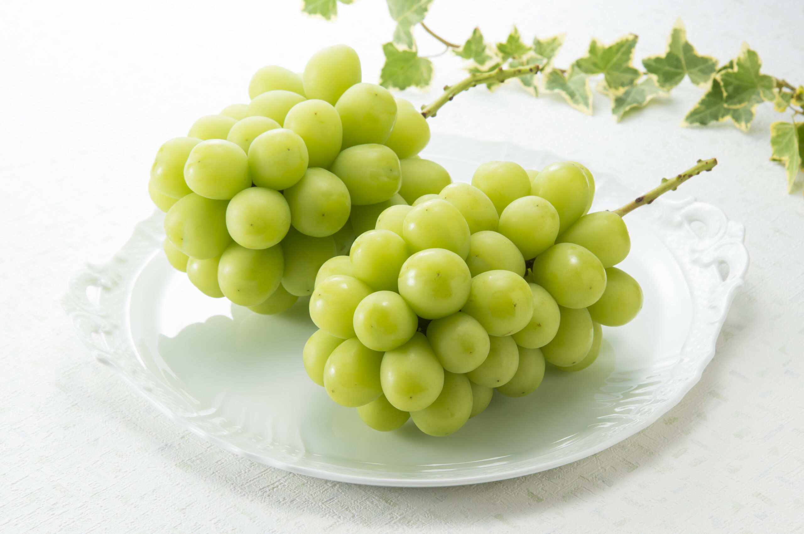 フルーツクラブ【Premium】