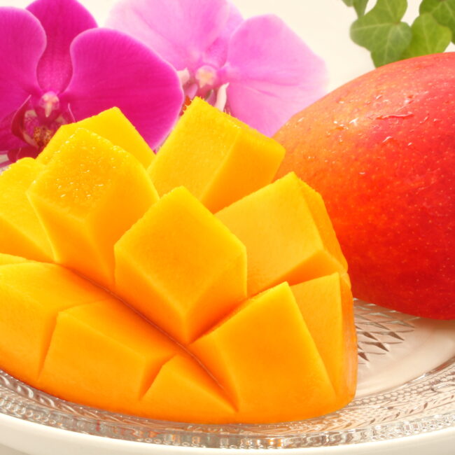 フルーツクラブ【standard】