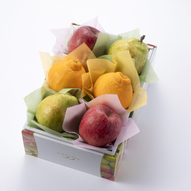  フルーツセット