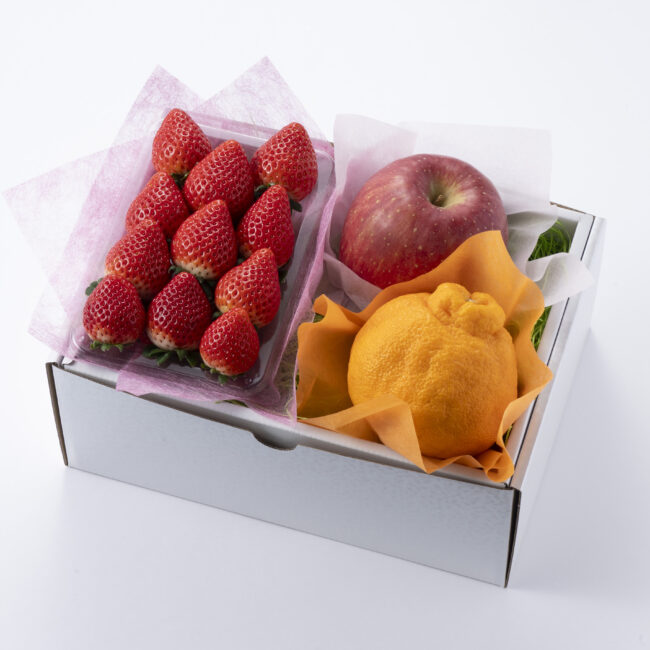 フルーツセット各種