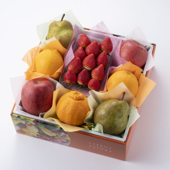 フルーツセット各種